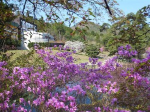 メープル猪名川の庭園