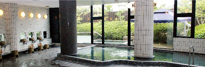 温泉入浴特別料金