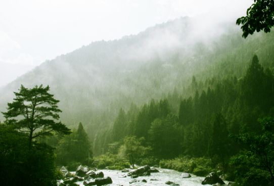 奥播磨の自然の恵み